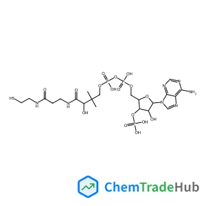 [(2R,3S,4R,5R)-5-(6-Amino-9H-purin-9-yl)-4-hydroxy-3-(phosphonooxy)tetrahydro-2-furanyl]methyl (3R)-3-hydroxy-2,2-dimethyl-4-oxo-4-({3-oxo-3-[(2-sulfanylethyl)amino]propyl}amino)butyl dihydrogen dipho
sphate (non-preferred name)