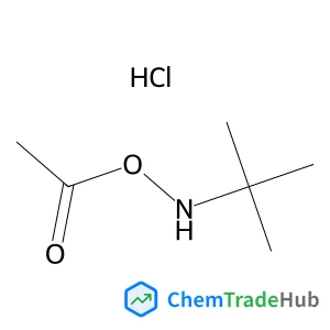 1-{[(2-Methyl-2-propanyl)amino]oxy}ethanone hydrochloride (1:1)