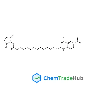 DNP-PEG4-NHS ESTER