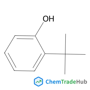 2-(2-Methyl-2-propanyl)phenol