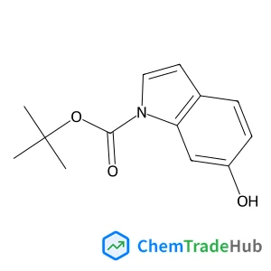 2-Methyl-2-propanyl 6-hydroxy-1H-indole-1-carboxylate