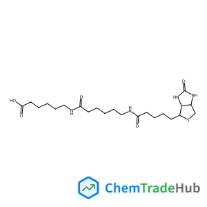 N-Biotinylcaproylaminocaproic Acid