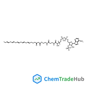 Alcohol dehydrogenase