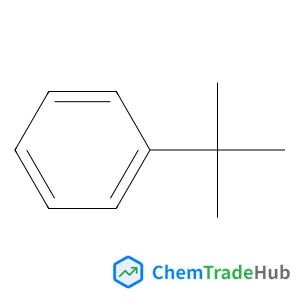 (2-Methyl-2-propanyl)benzene
