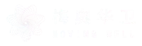查看Shandong Mayo Huahui Technology Co., Ltd.的6-Bromo-2-chloro-8-cyclopentyl-5-methylpyrido[2,3-d]pyrimidin-7(8H)-one