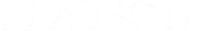 Abbott GmbH &amp; Co. KG