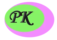 PK Chem Industries Ltd