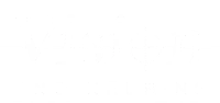 Vision Engineering Ltd.